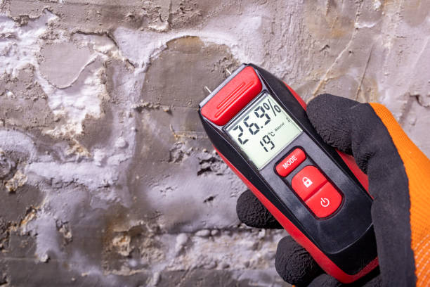 Best Emergency Mold Remediation in St John, MO