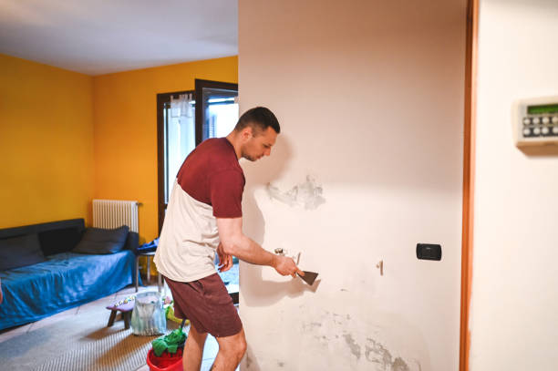 Best Mold Remediation for Schools in St John, MO